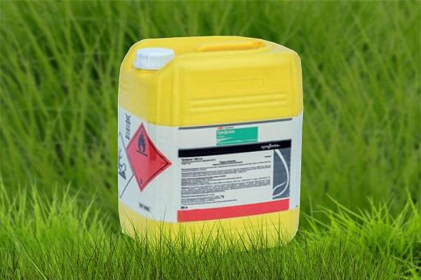 Herbicide Treflan: mode d'emploi, principe de fonctionnement et taux de ...