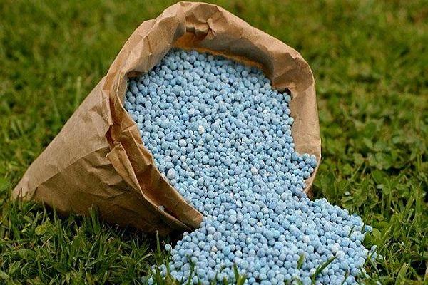 nitrogen fertilizer