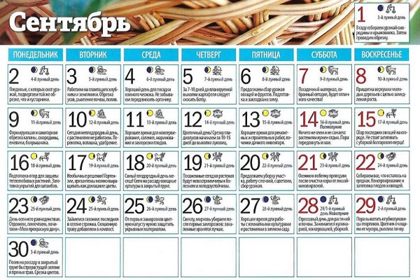 calendrier du jardinier