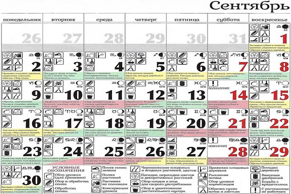 dates de débarquement