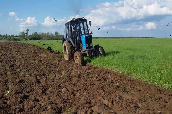 plowing the land