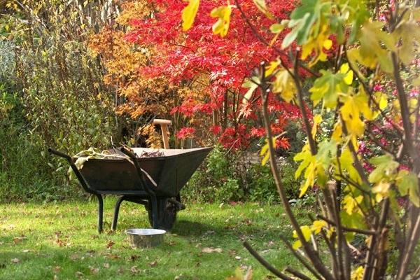 travailler à l'automne