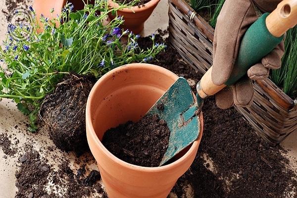 trabajo de jardinería