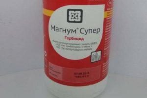 Instructions for use of the herbicide Magnum, safety measures and analogues