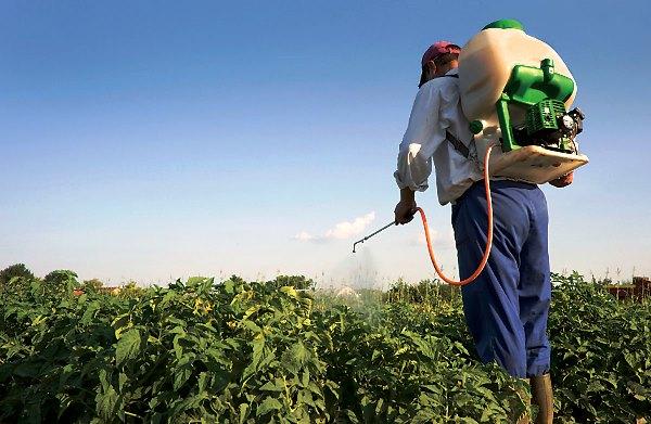 traitement du sol avec herbicide