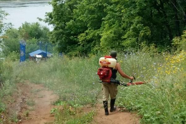 gestion des mauvaises herbes