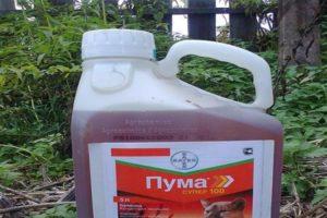 Instructions for the use of the herbicide Puma Super 100 and the consumption rate of the drug