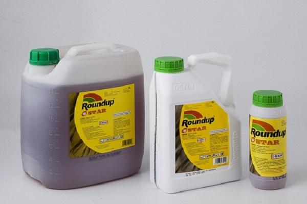 roundup varieties