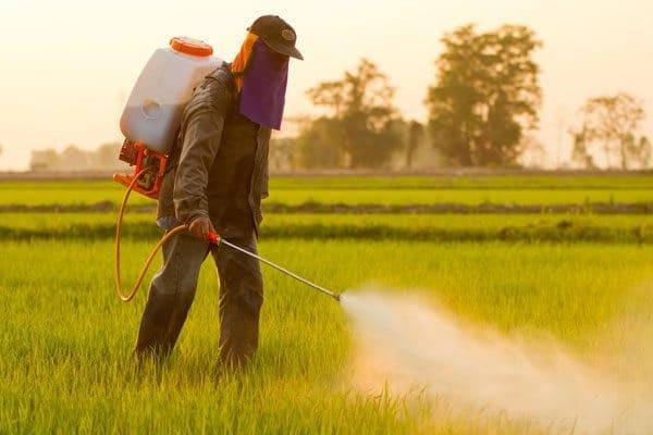 trabajo de campo