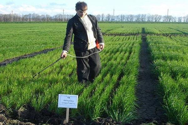 trabajar en plantas