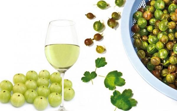 gooseberry wine at home