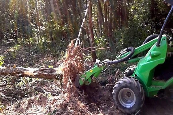 Les meilleures méthodes pour se débarrasser de la croissance des arbres sur le site