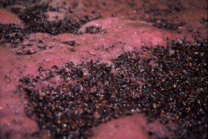 TOP 5 des moyens d'arrêter la fermentation du vin à la maison