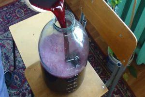 Step-by-step technology on how to make wine with your own hands at home