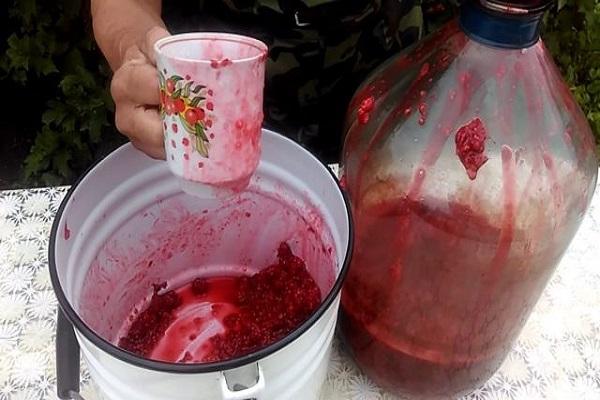 une tasse de framboises