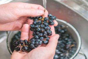 Est-il nécessaire de laver les raisins pour faire du vin, les règles et les caractéristiques