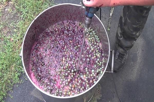 chopping berries