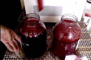 4 best recipes for making fruit and berry wine at home