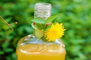 6 best homemade dandelion wine recipes