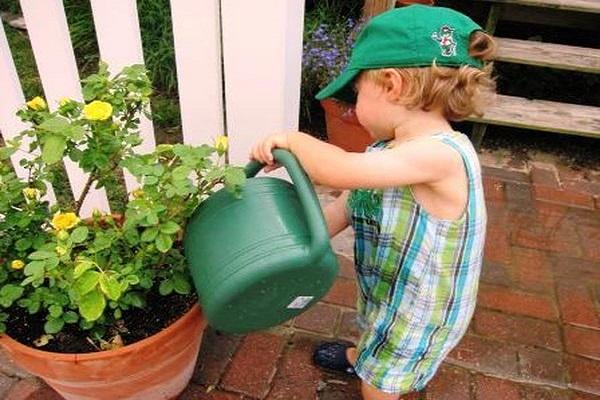 baby watering