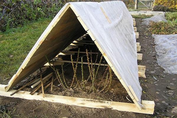 refugio para el invierno