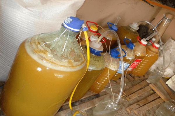 fermentation de liquide