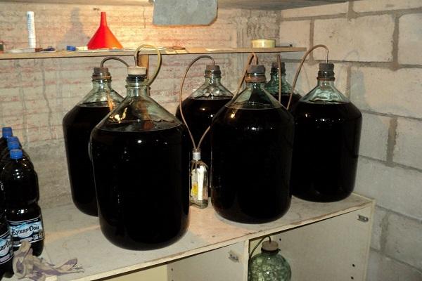 fermentation of wine