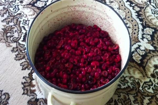 berries in a saucepan