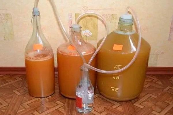 fermented wine