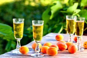 12 easy, step-by-step homemade apricot wine recipes