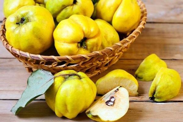 fruit harvest