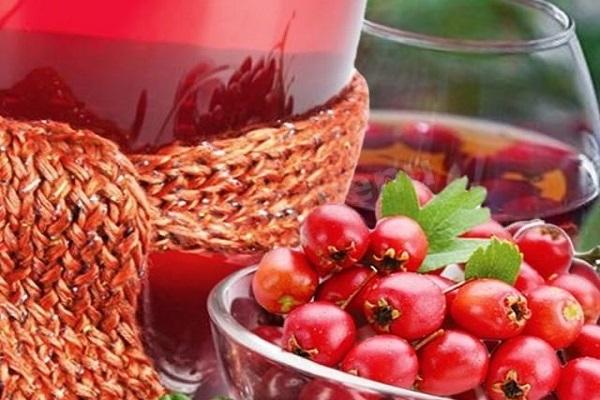 berries from hawthorn