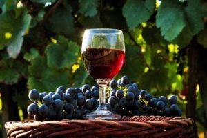 The best recipe for making wild grape wine at home