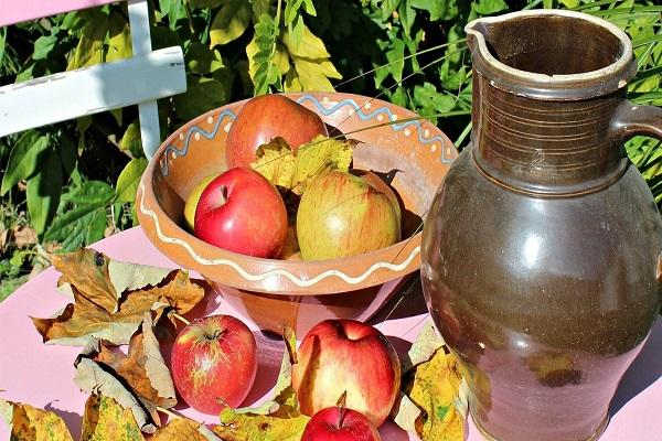 a plate of apples