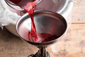 6 recettes faciles pour faire du vin de rhubarbe à la maison