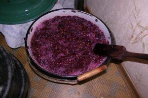 A simple step-by-step recipe for making fresh blue grape wine at home