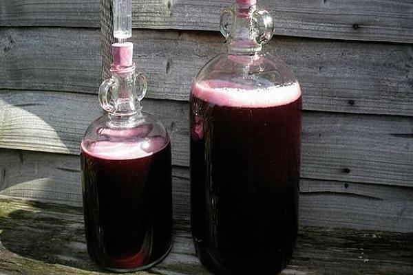 jugo de vino