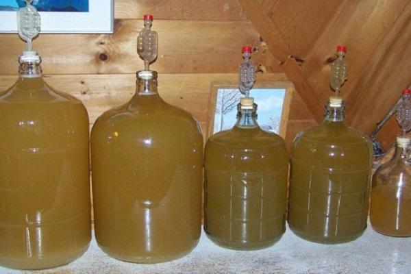 fermentation of juice