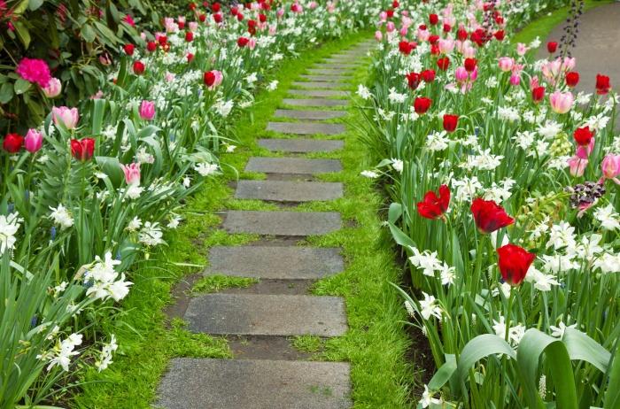 decoration of the garden path border with perennial flowers