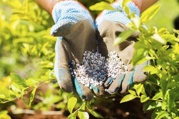 fertilizante en mano