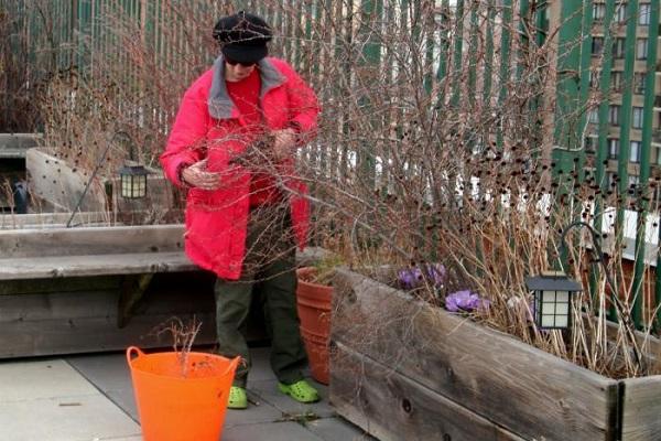 trabajo de jardinería