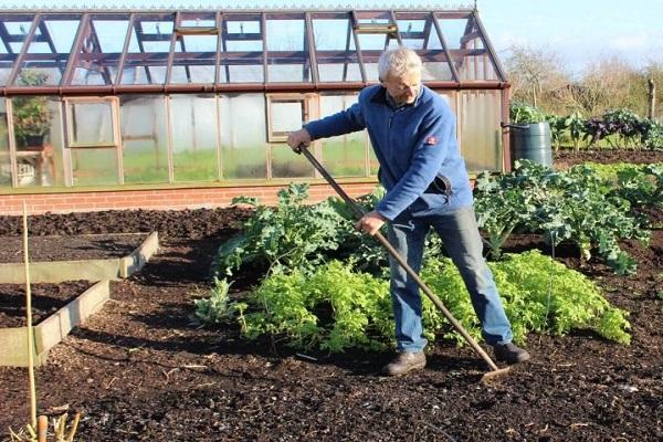 soil preparation