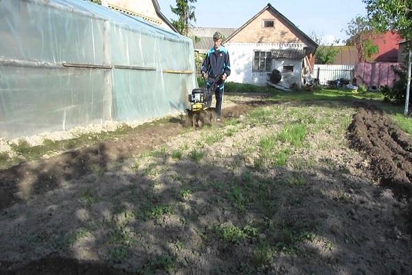 preparación del sitio