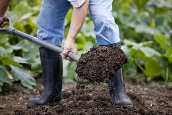 shovel with earth