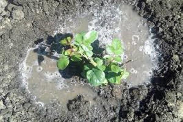 agua en el suelo