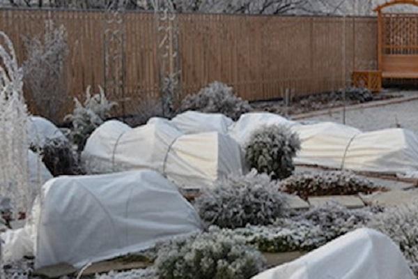 shelters for flowers