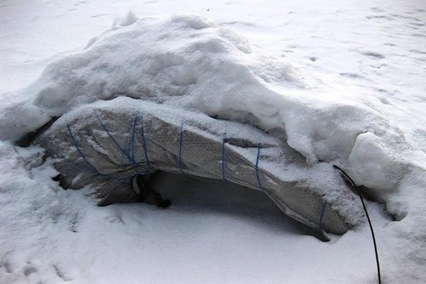 à l'abri du froid