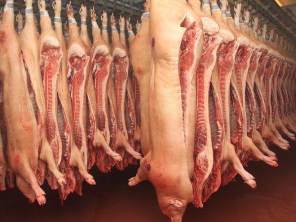 rendement en viande de porc