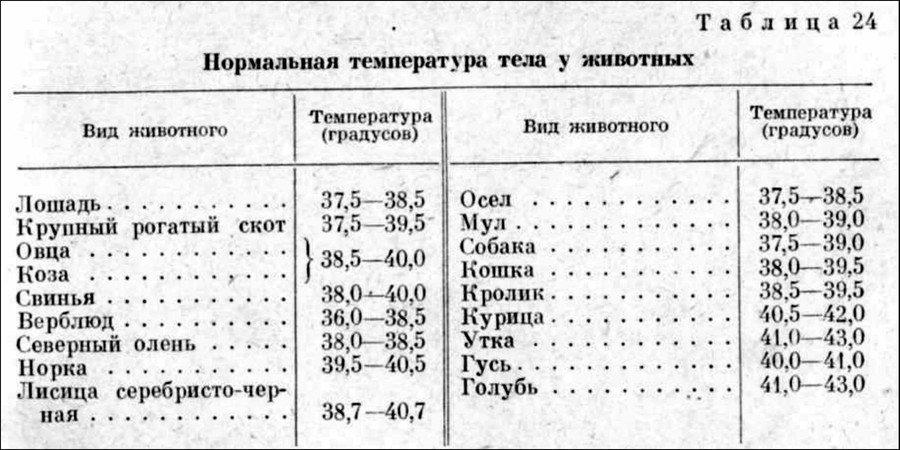 indicateurs de température