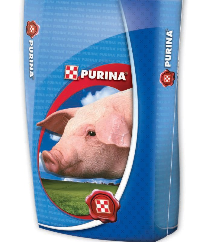 purina de cerdo